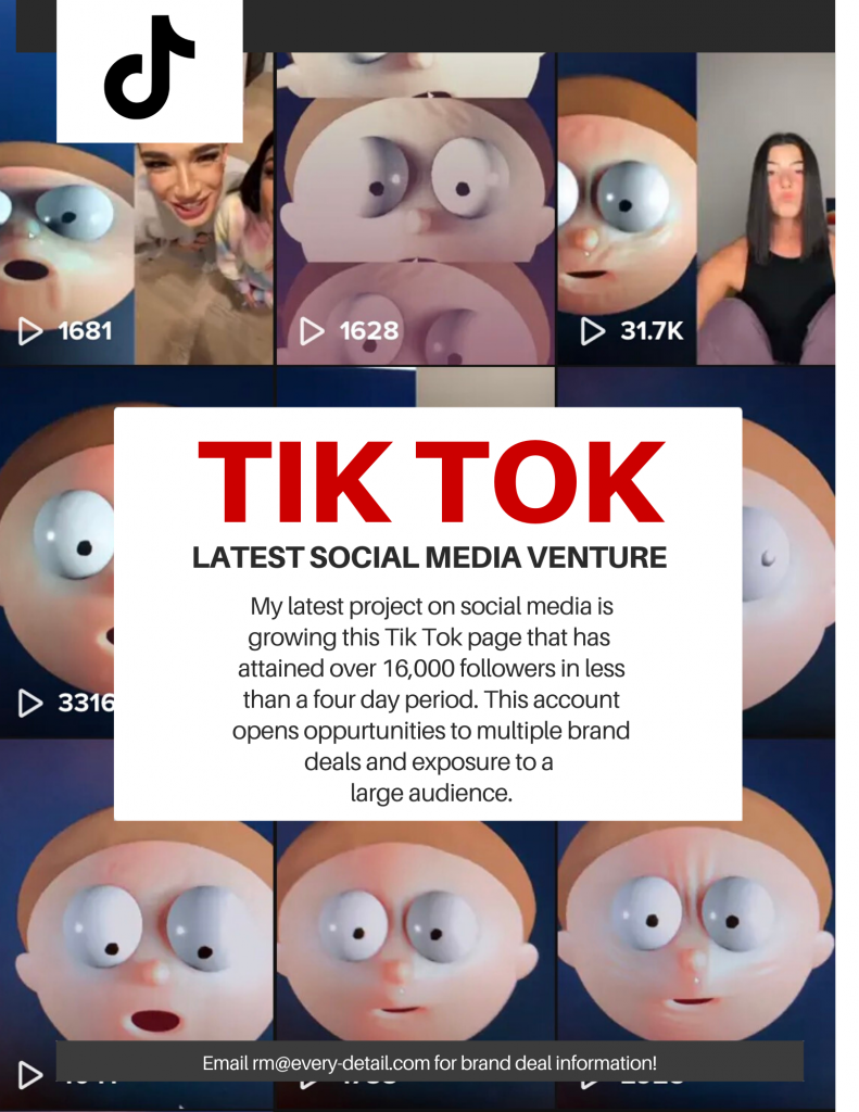 Tik Tok Venture